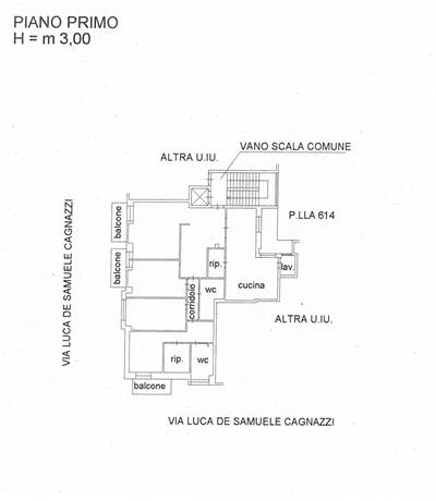 Photo 35